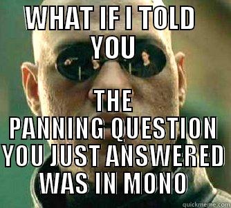 WHAT IF I TOLD  YOU THE PANNING QUESTION YOU JUST ANSWERED WAS IN MONO Matrix Morpheus