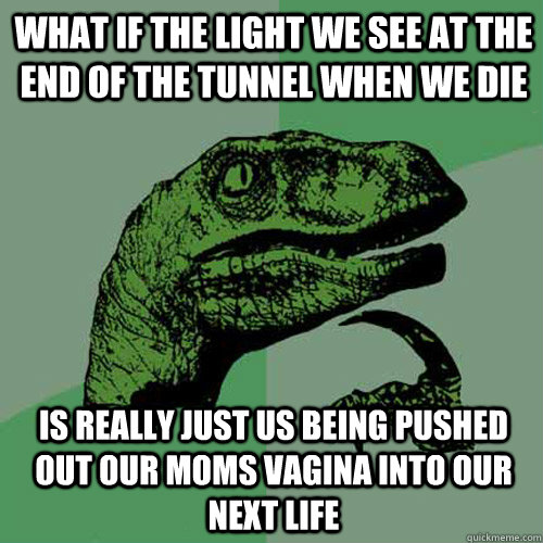 What if the light we see at the end of the tunnel when we die is really just us being pushed out our moms vagina into our next life  Philosoraptor