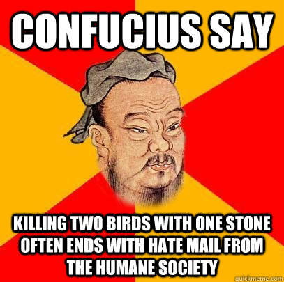 Confucius Say Killing two birds with one stone often ends with hate mail from the humane society  Confucius says