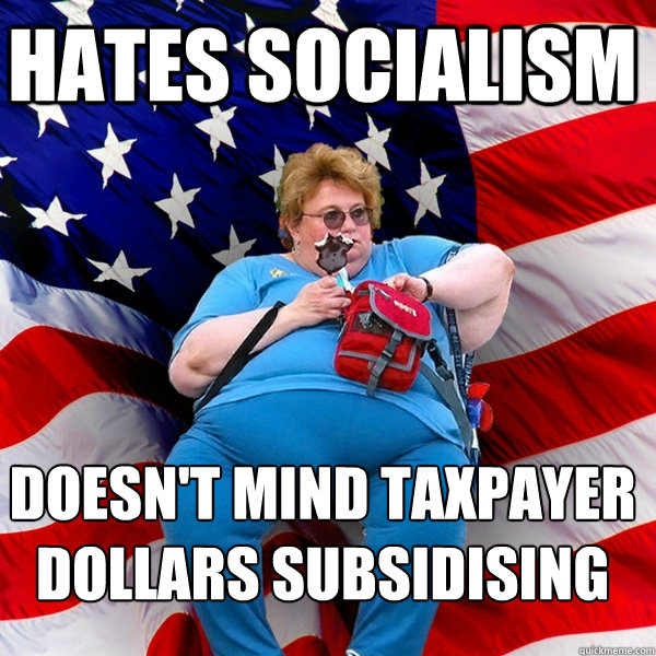 HATES SOCIALISM DOESN'T MIND TAXPAYER DOLLARS SUBSIDISING HUGE CORPORATIONS  Asinine American fat obese red state republican lady meme