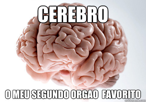 Cerebro O meu segundo orgao  favorito  Scumbag Brain