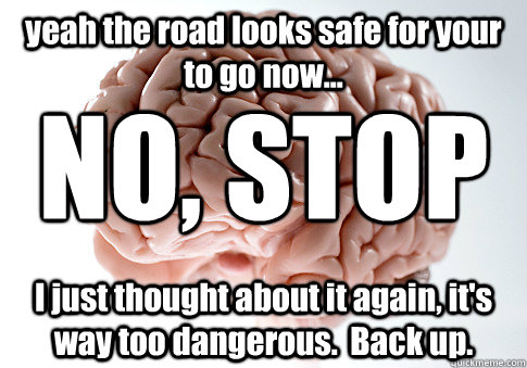 yeah the road looks safe for your to go now... I just thought about it again, it's way too dangerous.  Back up. NO, STOP  Scumbag Brain