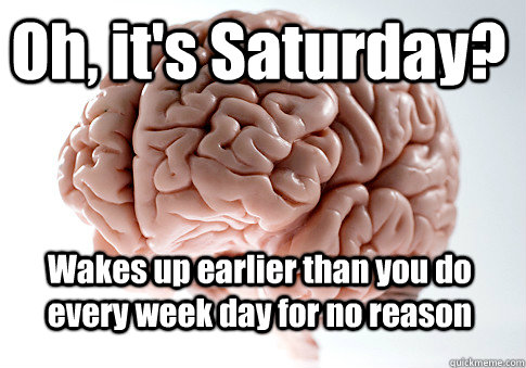 Oh, it's Saturday? Wakes up earlier than you do every week day for no reason   Scumbag Brain