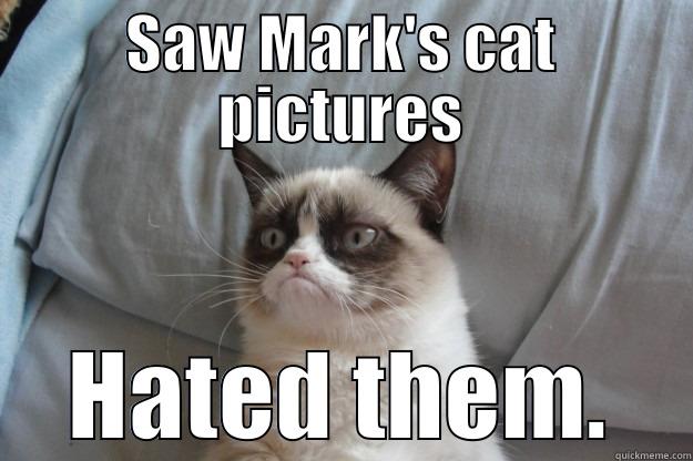 SAW MARK'S CAT PICTURES HATED THEM. Grumpy Cat