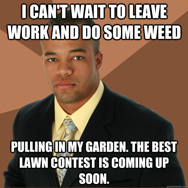 I can't wait to leave work and do some weed pulling in my garden. The Best Lawn contest is coming up soon.  Successful Black Man