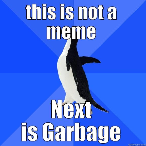 this isn ot a meme next - THIS IS NOT A MEME NEXT IS GARBAGE Socially Awkward Penguin