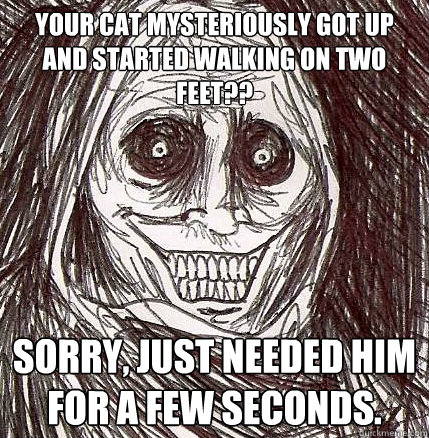 your cat mysteriously got up and started walking on two feet?? sorry, Just needed him for a few seconds.  Horrifying Houseguest