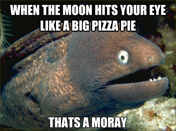 When the moon hits your eye like a big pizza pie thats a moray - When the moon hits your eye like a big pizza pie thats a moray  Bad Joke Eel