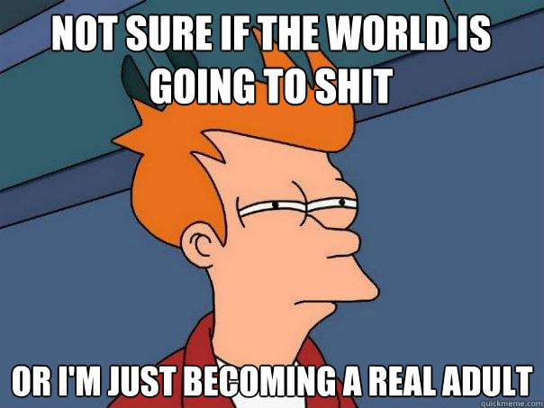 Not sure if the world is going to shit Or I'm just becoming a real adult  Futurama Fry