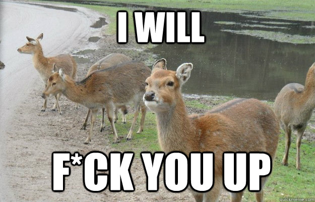 I will f*ck you up  angry bambi