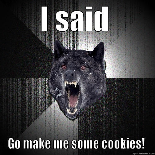 cookies racoon - I SAID GO MAKE ME SOME COOKIES! Insanity Wolf