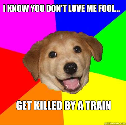 I know you don't love me fool... get killed by a train  Advice Dog