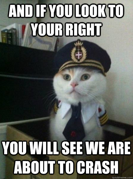 And if you look to your right you will see we are about to crash - And if you look to your right you will see we are about to crash  Captain kitteh