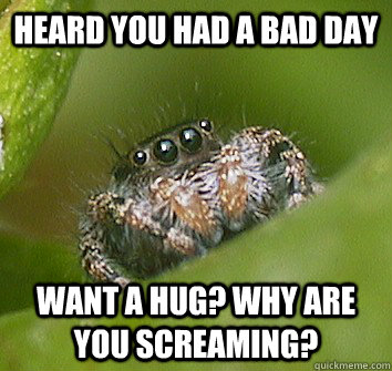 Heard you had a bad day Want a hug? why are you screaming?   Misunderstood Spider