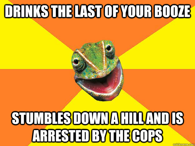 Drinks the Last of your Booze Stumbles down a hill and is arrested by the cops  Karma Chameleon