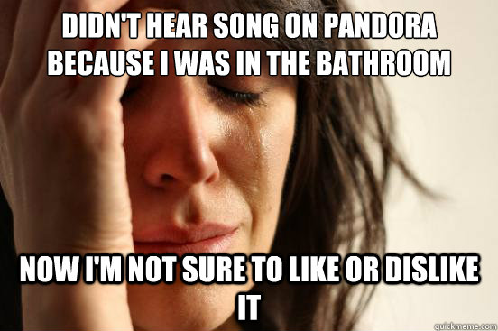 Didn't hear song on pandora because i was in the bathroom Now i'm not sure to like or dislike it  First World Problems