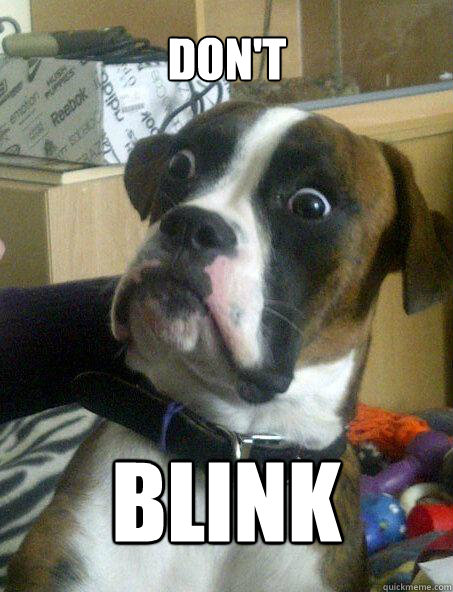 Don't Blink  Baffled boxer