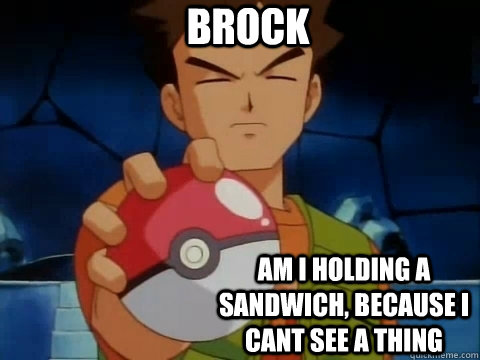 brock am i holding a sandwich, because i cant see a thing  