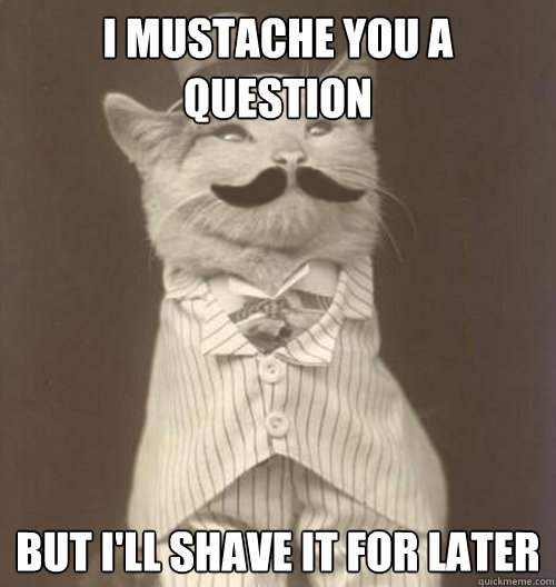 I Mustache you a question but I'll shave it for later  Original Business Cat