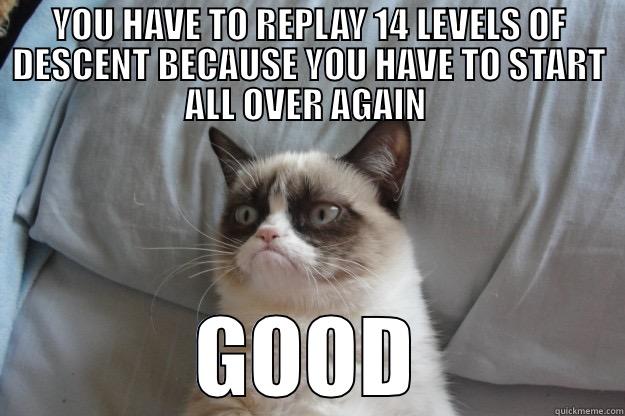 YOU HAVE TO REPLAY 14 LEVELS OF DESCENT BECAUSE YOU HAVE TO START ALL OVER AGAIN  GOOD  Grumpy Cat