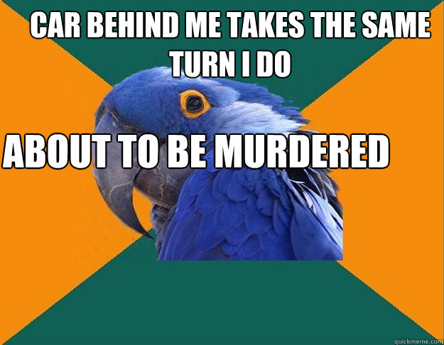 car behind me takes the same turn i do i'm about to be murdered  Paranoid Parrot