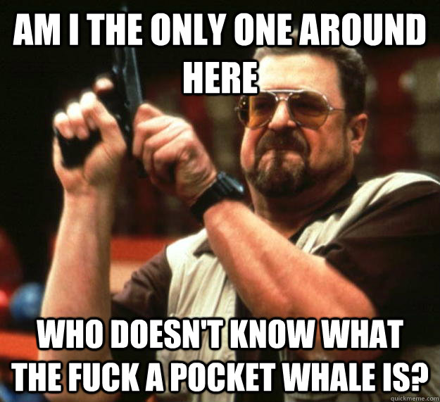 am I the only one around here who doesn't know what the fuck a pocket whale is?  Angry Walter