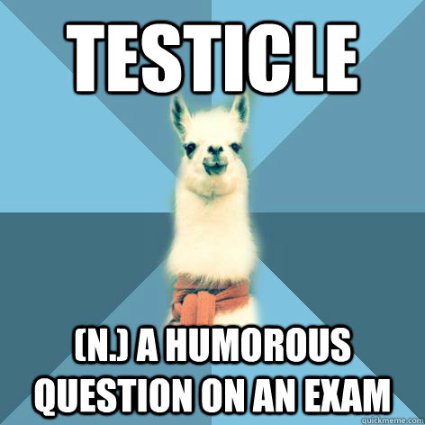 TESTICLE (n.) A humorous question on an exam  Linguist Llama