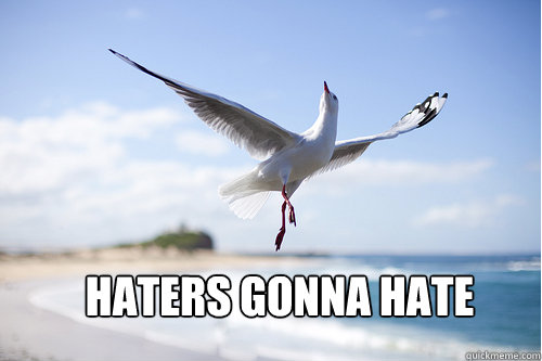 Haters gonna hate  Haters gonna hate