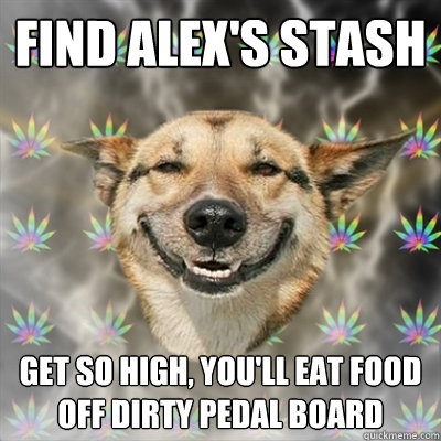 find alex's stash get so high, you'll eat food off dirty pedal board  Stoner Dog