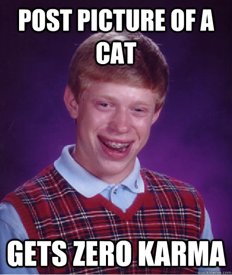 Post Picture of a Cat Gets Zero karma  Bad Luck Brian