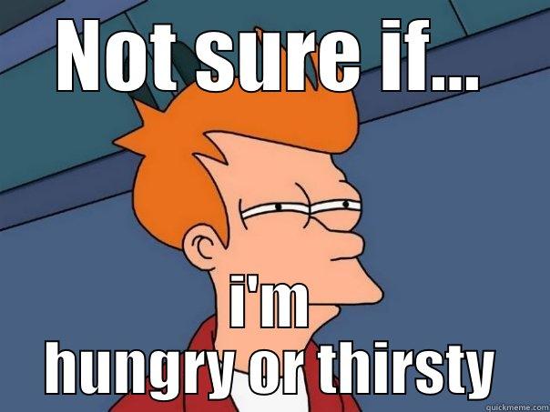 NOT SURE IF... I'M HUNGRY OR THIRSTY Futurama Fry