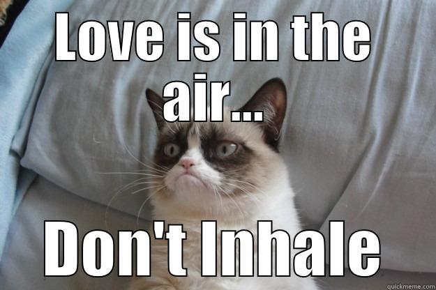 Stop Breathing - LOVE IS IN THE AIR... DON'T INHALE Grumpy Cat