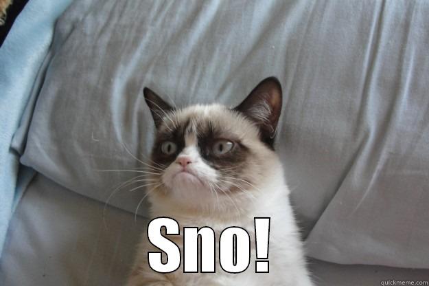  SNO! Grumpy Cat