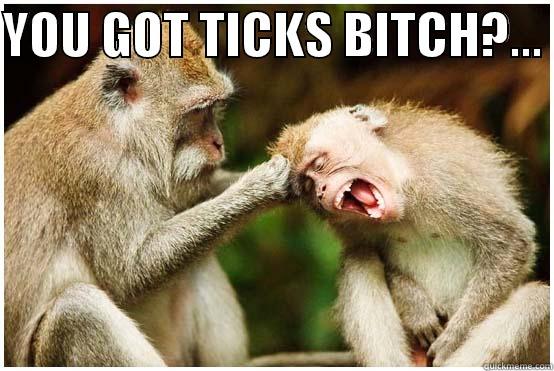 YOU GOT TICKS BITCH?...   Misc