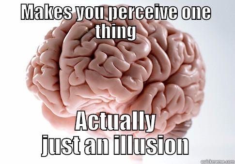 MAKES YOU PERCEIVE ONE THING ACTUALLY JUST AN ILLUSION Scumbag Brain