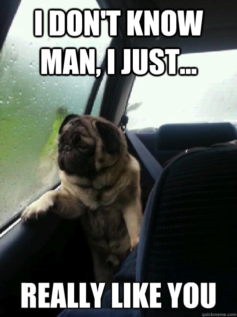 I don't know man, I just... 
really like you  Introspective Pug