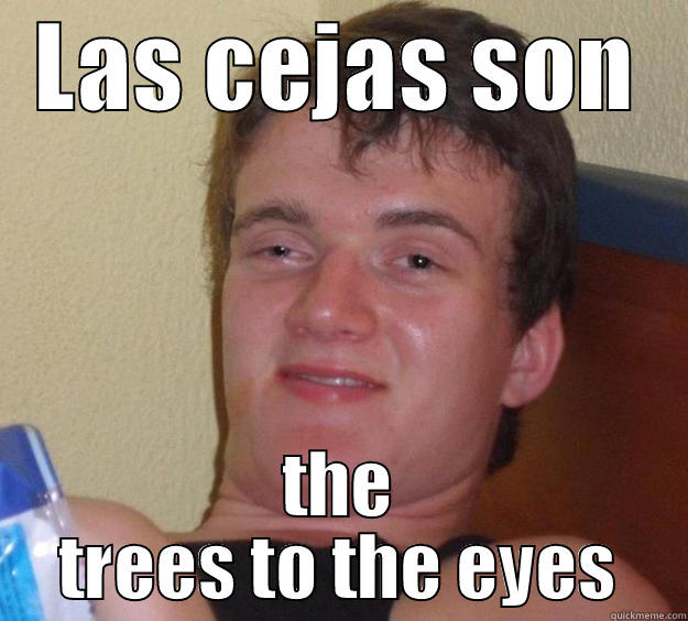 LAS CEJAS SON THE TREES TO THE EYES 10 Guy