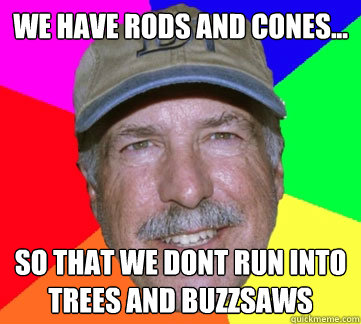 We have rods and cones... So that we dont run into trees and buzzsaws  