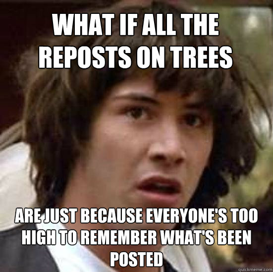 What if all the reposts on trees Are just because everyone's too high to remember what's been posted  conspiracy keanu