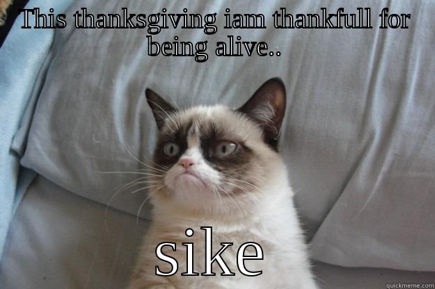 THIS THANKSGIVING IAM THANKFULL FOR BEING ALIVE.. SIKE Grumpy Cat