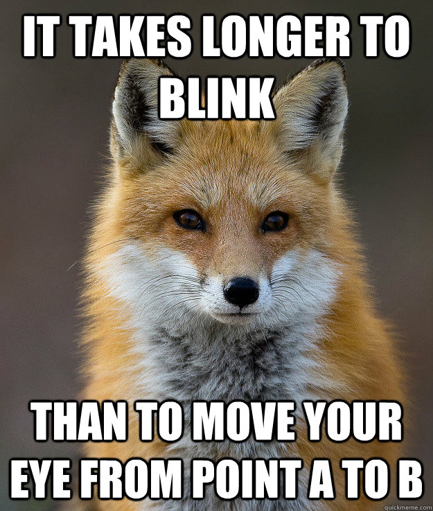 It takes longer to blink Than to move your eye from point A to B  Fun Fact Fox