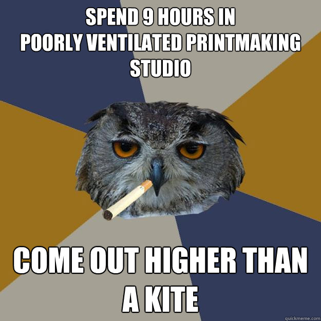 spend 9 hours in 
poorly ventilated printmaking studio come out higher than a kite  Art Student Owl