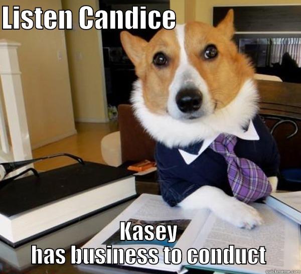 Kasey is working hard - LISTEN CANDICE                         KASEY HAS BUSINESS TO CONDUCT Lawyer Dog