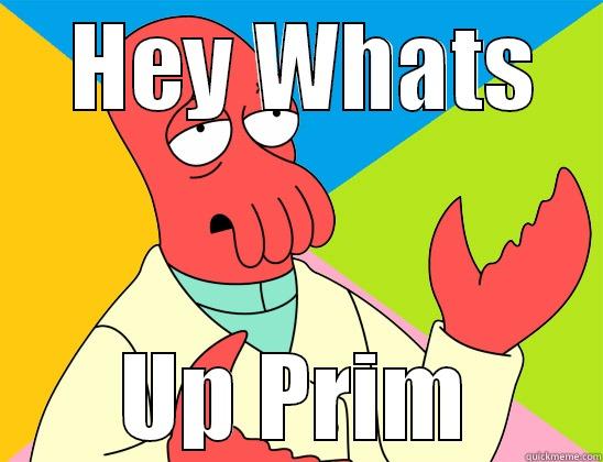 whats Up -   HEY WHATS  UP PRIM Futurama Zoidberg 