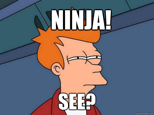 ninja! see?
  Futurama Fry