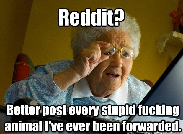 Reddit? Better post every stupid fucking animal I've ever been forwarded.     Grandma finds the Internet