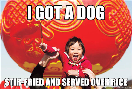 I GOT A DOG stir-fried and served over rice  Second World Success