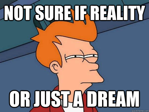 Not sure if reality Or just a dream - Not sure if reality Or just a dream  Futurama Fry