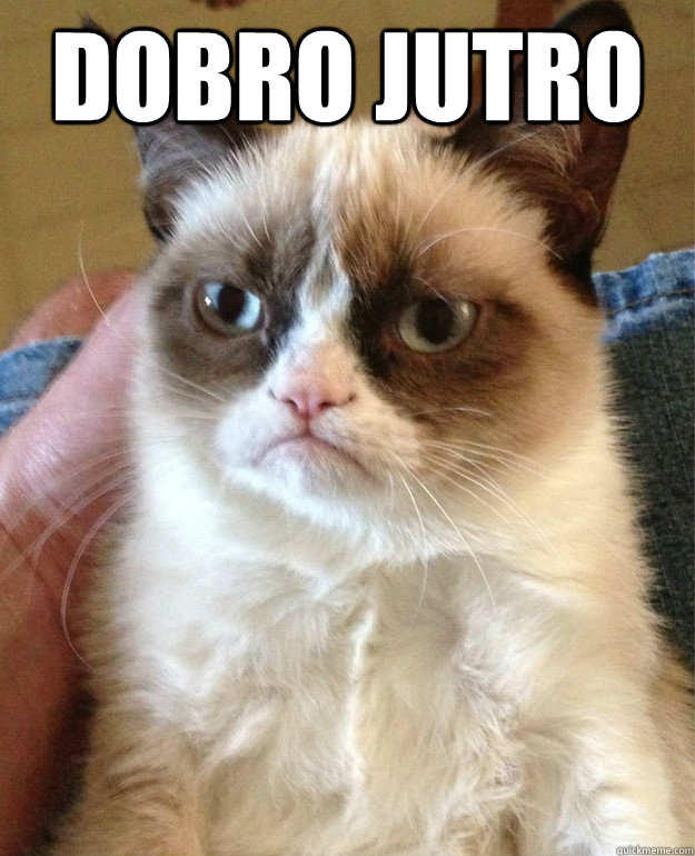 dobro jutro   Grumpy Cat