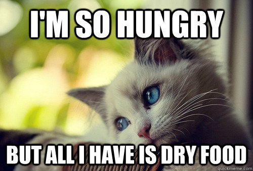 I'm so hungry but all I have is dry food  First World Problems Cat